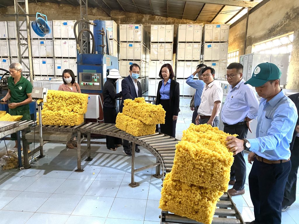 Thẩm định đánh giá doanh nghiệp tham gia Giải thưởng Chất lượng quốc gia tại Cao su Chư Prông và Chư Sê